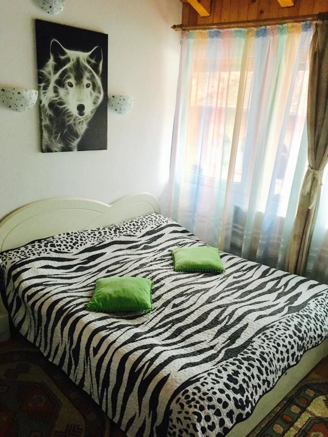 Хостелы Rolling Stone Hostel Брашов-21