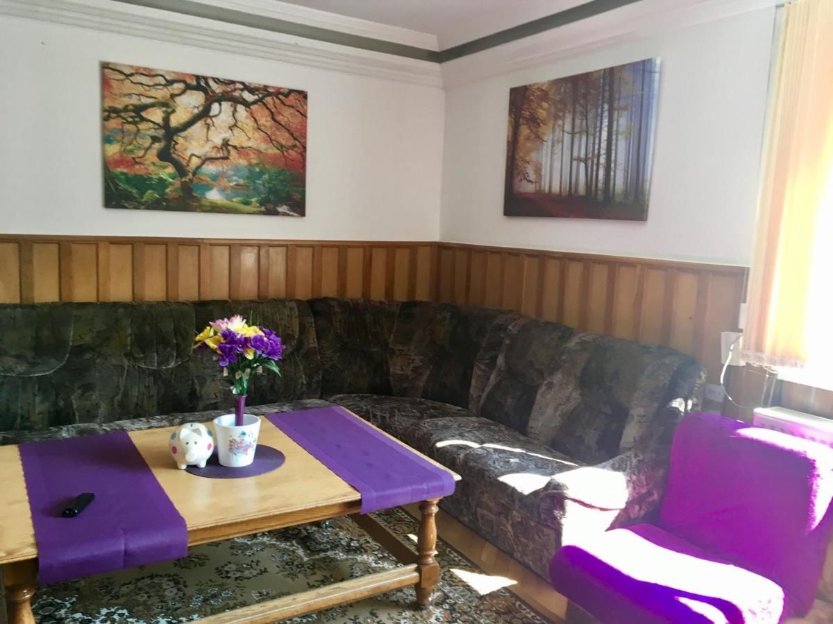 Хостелы Rolling Stone Hostel Брашов-23