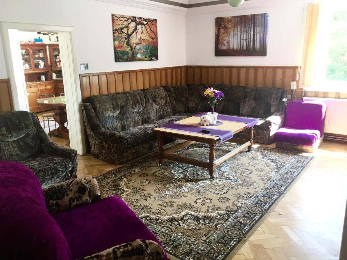 Хостелы Rolling Stone Hostel Брашов-24