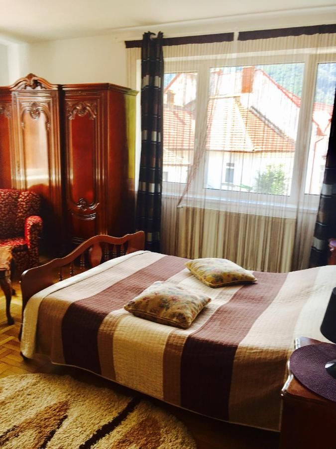 Хостелы Rolling Stone Hostel Брашов-6