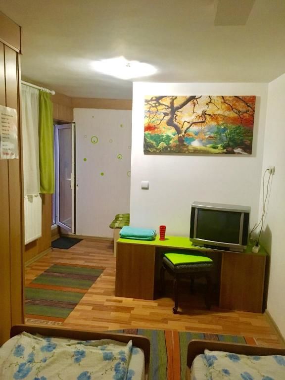 Хостелы Rolling Stone Hostel Брашов-58