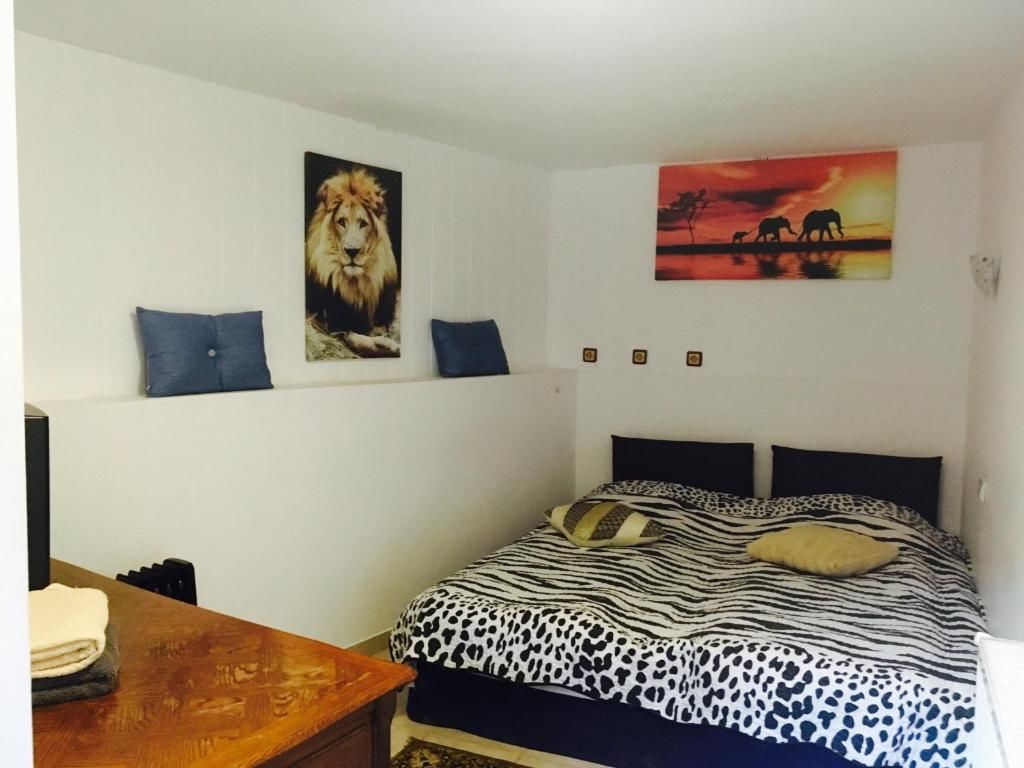 Хостелы Rolling Stone Hostel Брашов-60