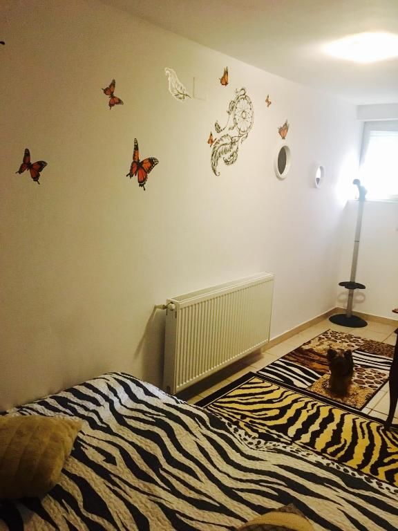 Хостелы Rolling Stone Hostel Брашов-61