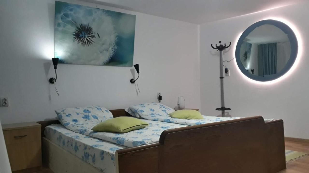 Хостелы Rolling Stone Hostel Брашов-9